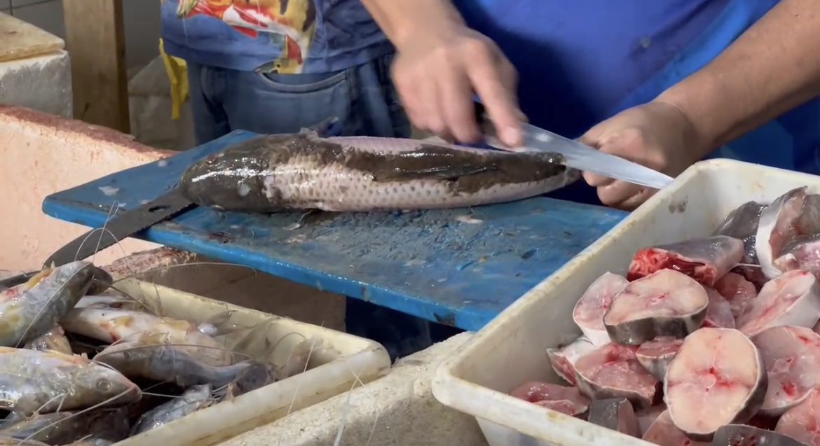 Mercado do Peixe de Cruzeiro do Sul registra aumento na oferta e preços acessíveis