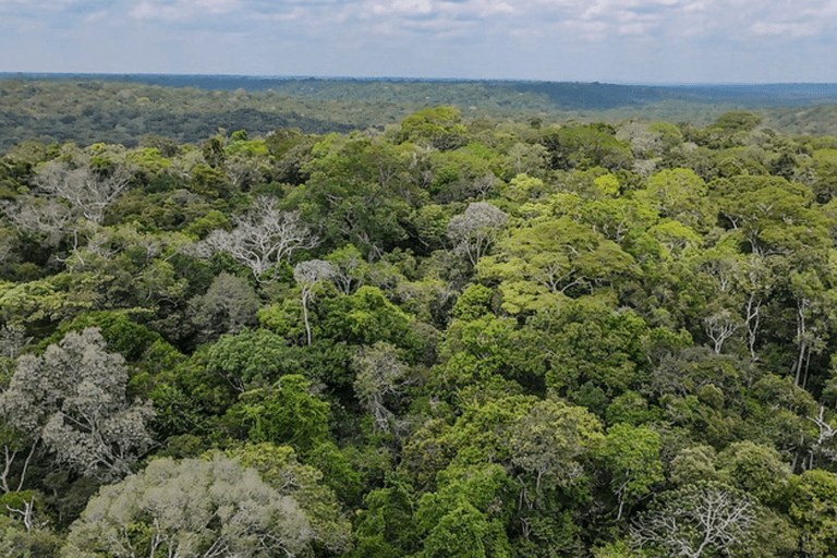 No Acre, quase 80% dos donos de terras rurais correm risco de perder propriedades para a União