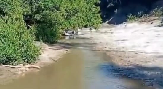 Seca severa no Alto Rio Caeté, em Sena Madureira, isola comunidades e desafia moradores