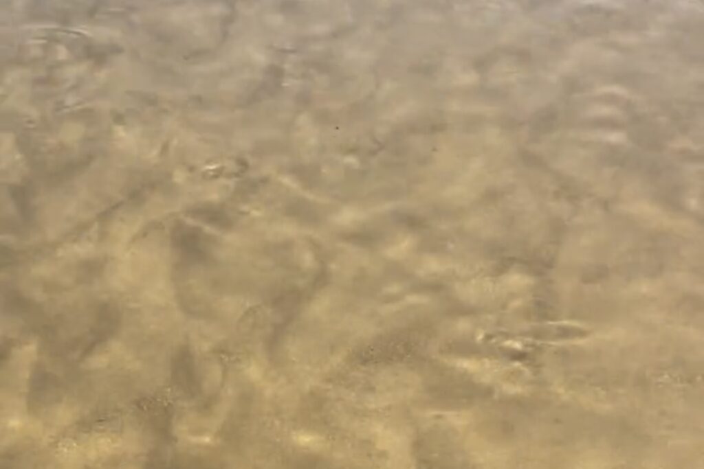 Rio Muru apresenta manchas de óleo e peixes aparecem mortos em Jordão