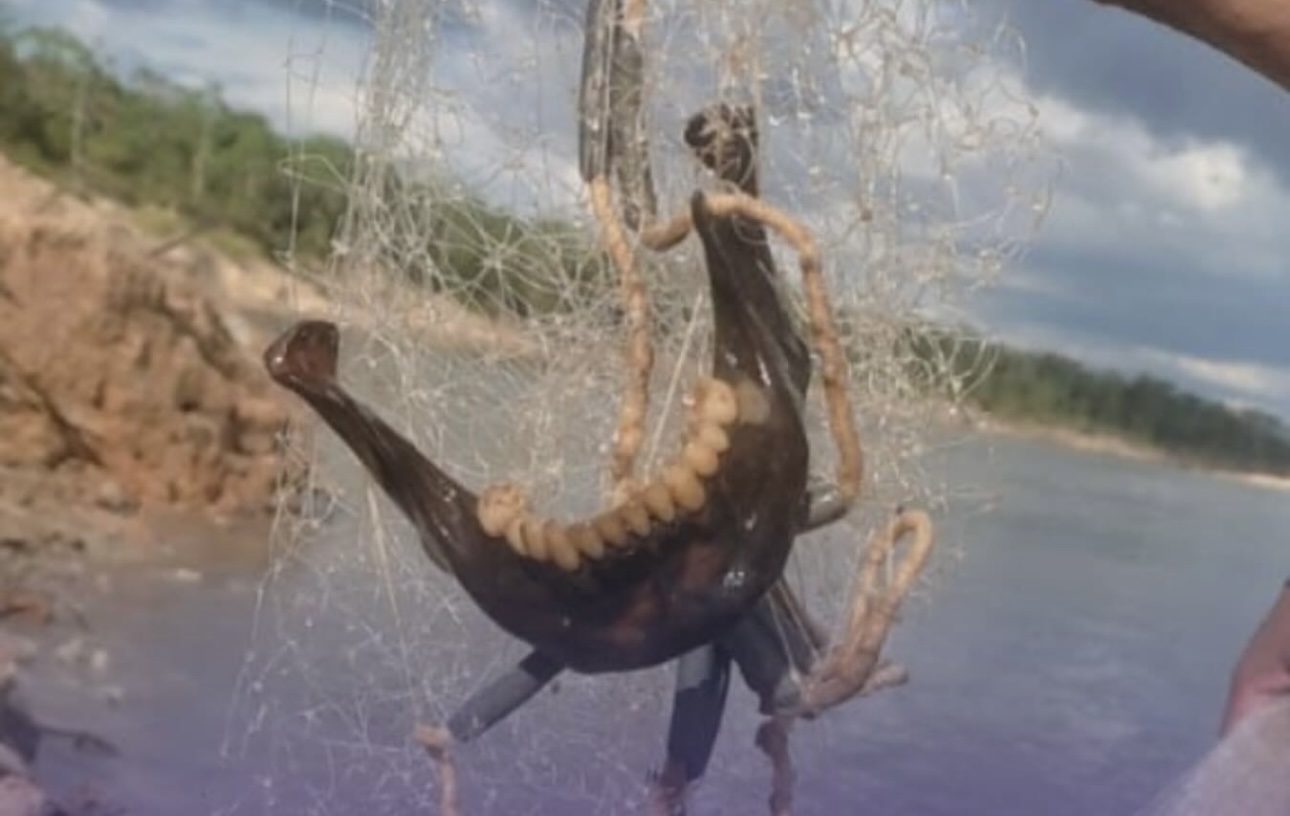 Pescador encontra parte de mandíbula humana durante pescaria no rio Juruá
