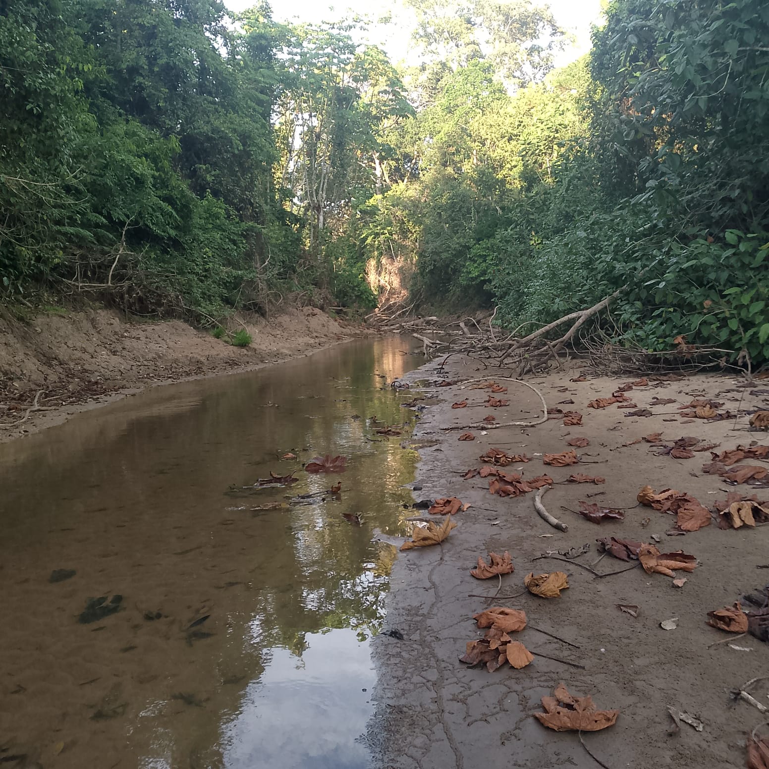 Seca extrema no Rio Bagé impacta populações indígenas em Marechal Thaumaturgo