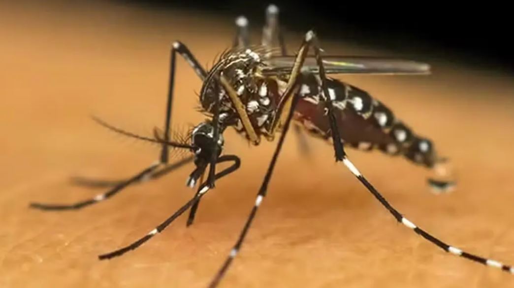 Acre registra 161 casos prováveis de chikungunya em 2025, com maioria concentrada no Juruá