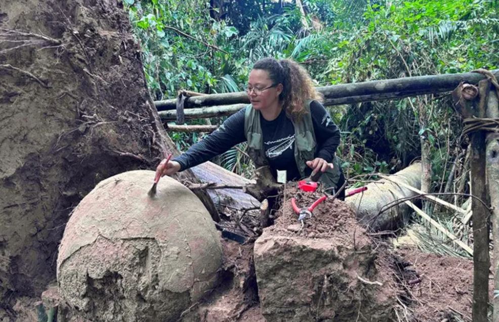 Urnas funerárias indígenas são descobertas em sítio arqueológico no Amazonas, após queda de árvore.